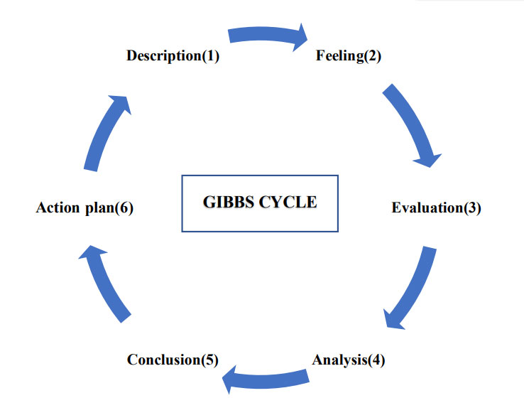 Gibbs cyclic
